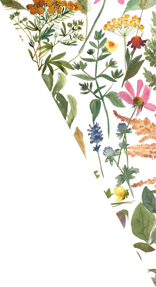 Watercolor flowers and leaves. Seamless pattern with Hand painted forest plants. Pink, yellow, blue colorful isolated floral set.