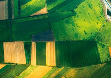 aerial photo on green farm fields in summer and the road through them
