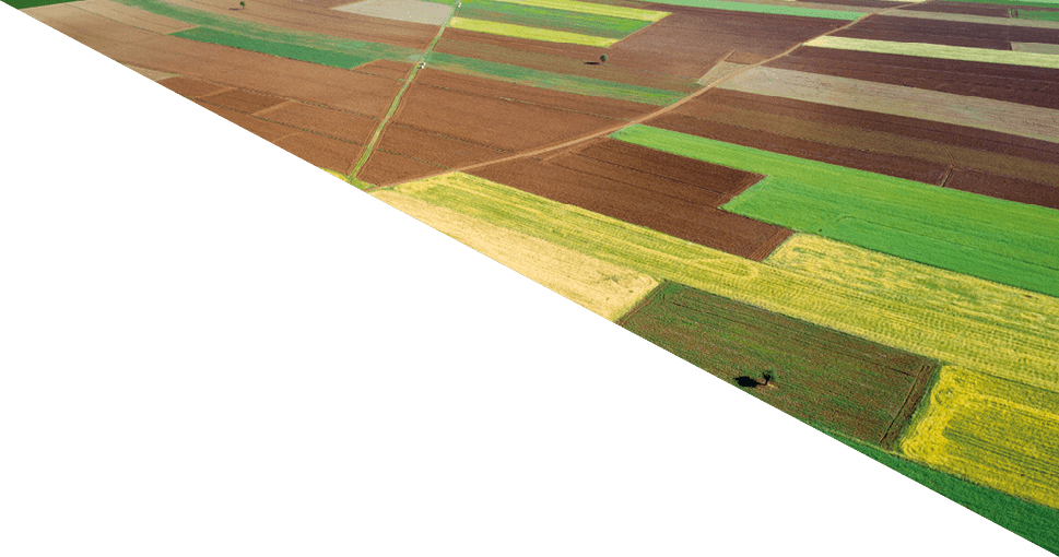 Aerial view of colorful fields. Antalya, Turkey. Taken via drone.