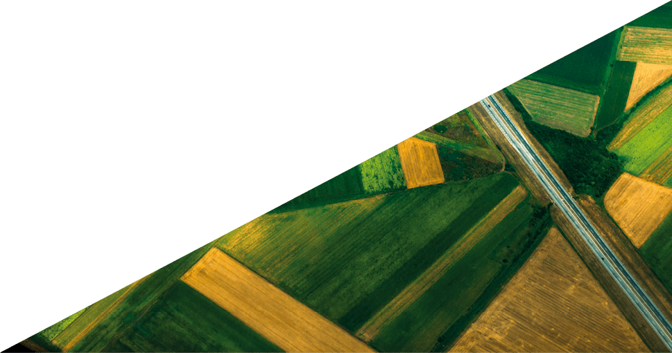 aerial photo on green farm fields in summer and the road through them