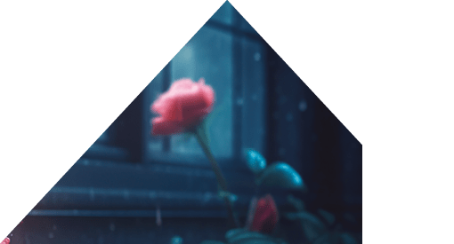 red roses by the window brought a touch of romance to the room. Generative AI