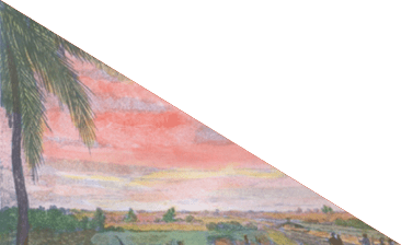 Revolting slaves lead by a man named Prince who is waving a black flag force the retreat of colonial soldiers, Demerara slave insurrection of August-September 1823.