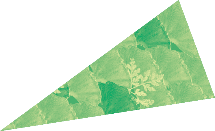 Dried leaf patterned background in beige