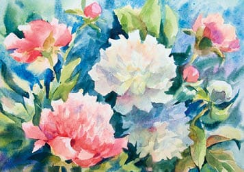 Watercolor painting, white and pink peonies on abstract watercolor background.