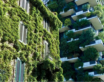 Old building with ivy on the facade with skyscraper background with trees in Milan