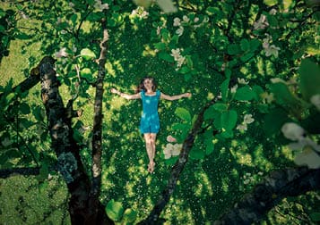 A woman is lying on a meadow, full of apple blossoms. Photographed from above between branches.
