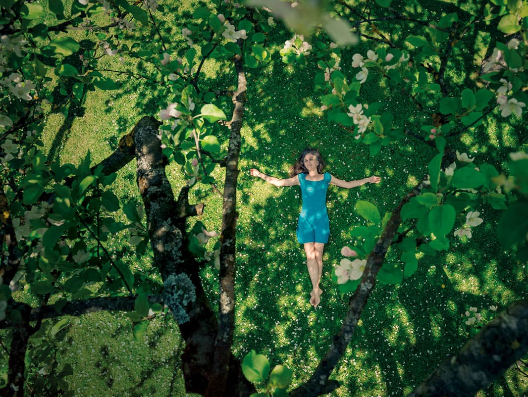 A woman is lying on a meadow, full of apple blossoms. Photographed from above between branches.