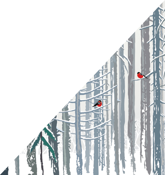 Vector illustration. Winter forest landscape with a Fox and birds on the branches of trees.