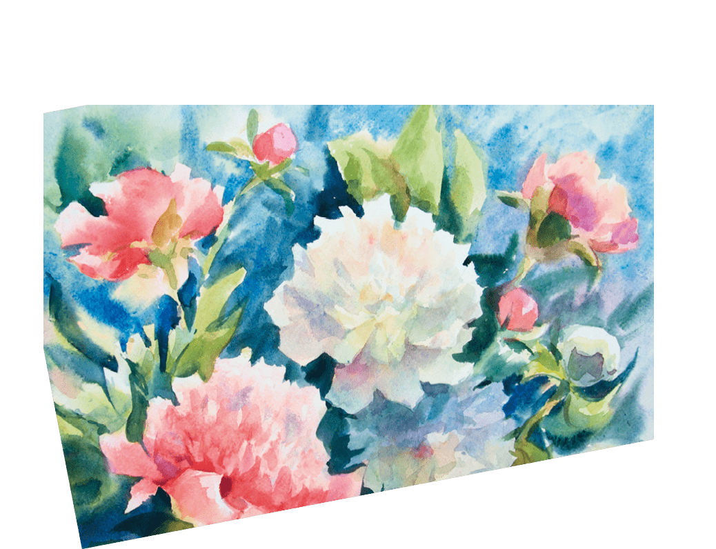 Watercolor painting, white and pink peonies on abstract watercolor background.