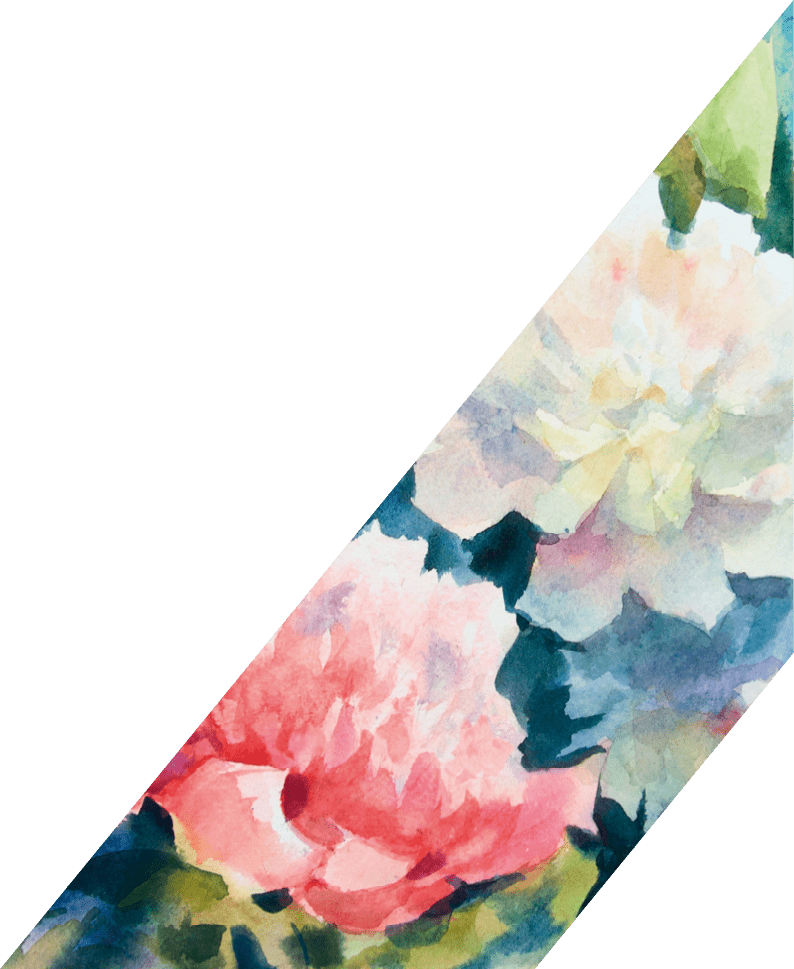 Watercolor painting, white and pink peonies on abstract watercolor background.