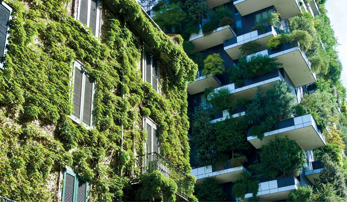 Old building with ivy on the facade with skyscraper background with trees in Milan