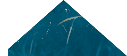 moon, landscape, old man, anime style --ar 3:2 --niji 6 Job ID: 89e4359c-e0a2-4124-9c66-5d277dabcae3