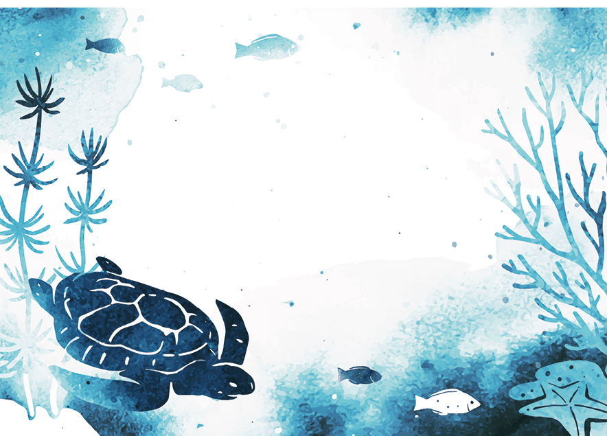 Vector template with fish, turtle and seaweed on white background. Watercolor illustration with underwater nature and marine wildlife. Useful for flyer, list, ad, cover, banner, invitation