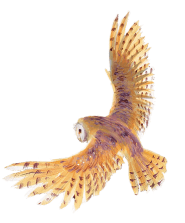 Ce document a t  cr   et certifi  chez IGS-CP, Charente (16)